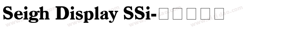 Seigh Display SSi字体转换